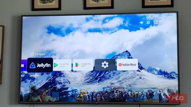 jellyfin-on-tv